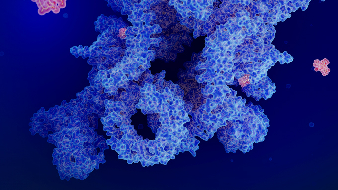 载体化学生物学